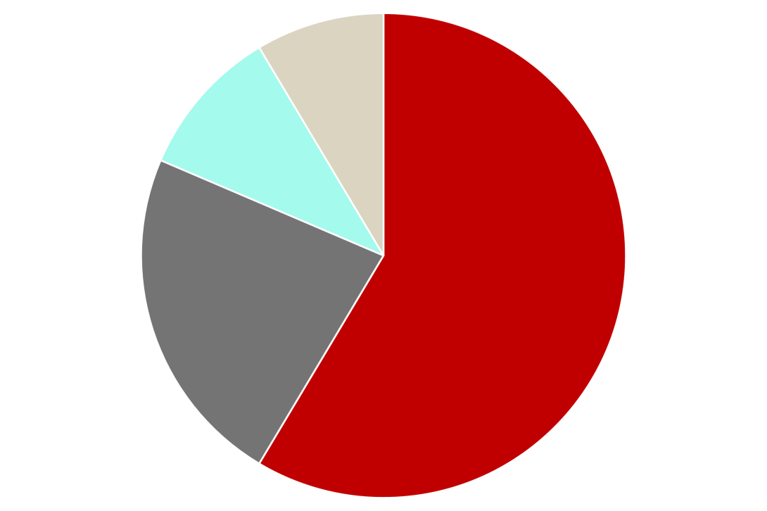 Pie chart 